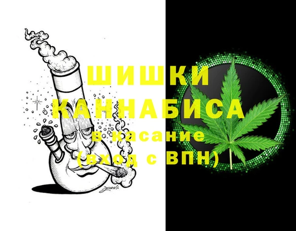 сатива Бежецк