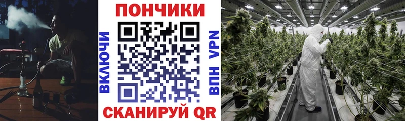 Бошки Шишки VHQ Данков